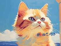 常見的通用頂級(jí)域包括哪些？分別代表什么意思？